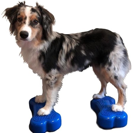 Fitpaws